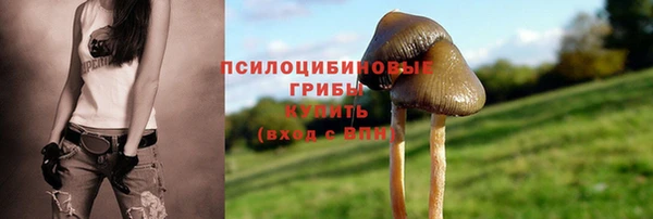 ALPHA PVP Сосновый Бор